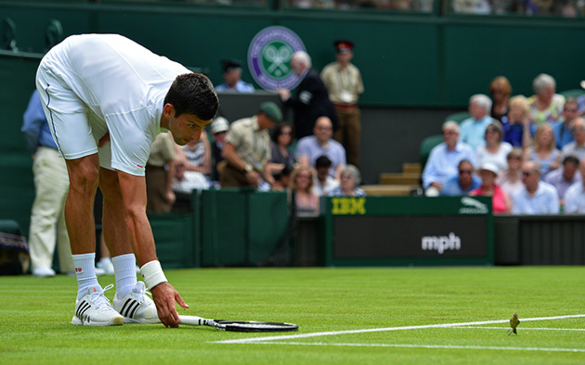 djokovic-day1-birds.jpg